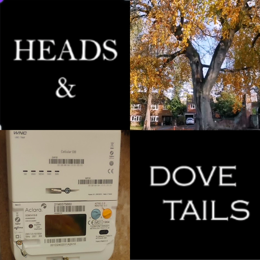 Copy of Podcast template (4)